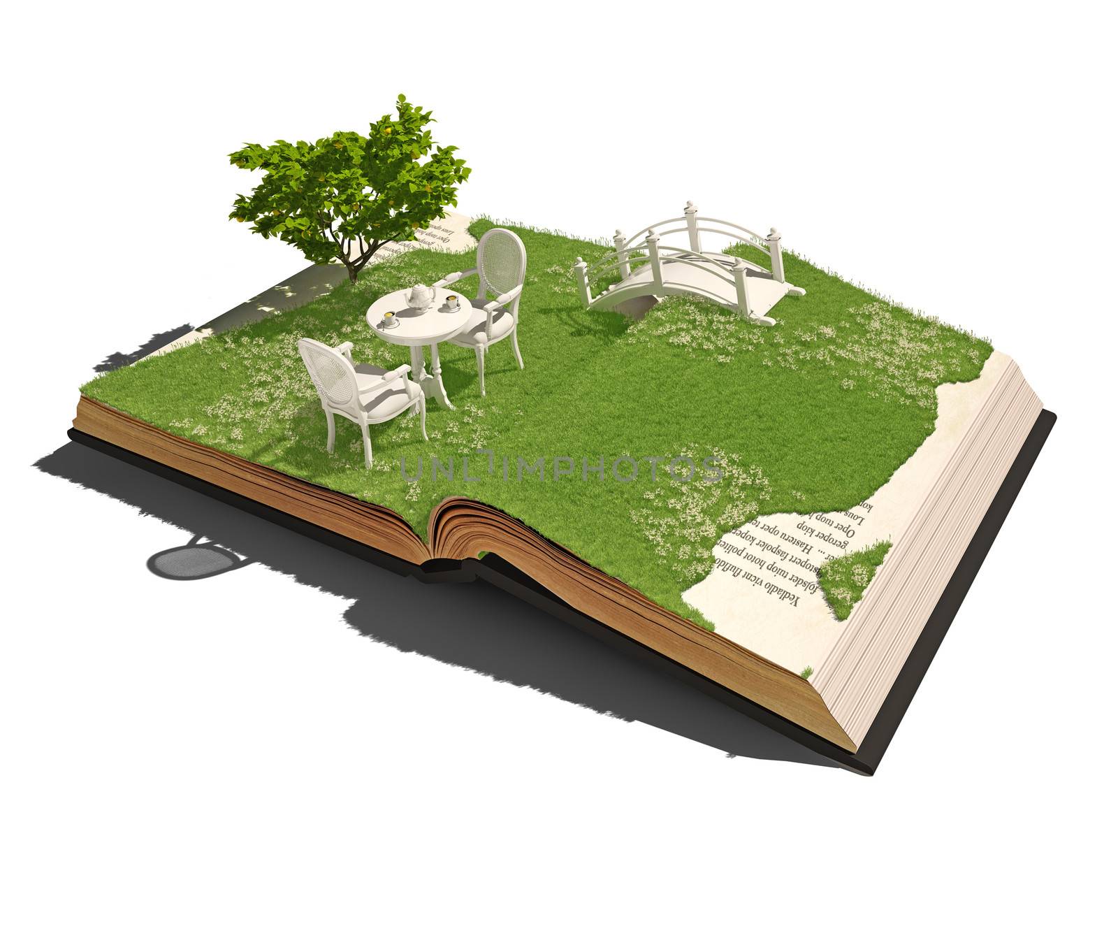 open book with table and chairs on the meadow. 3d concept