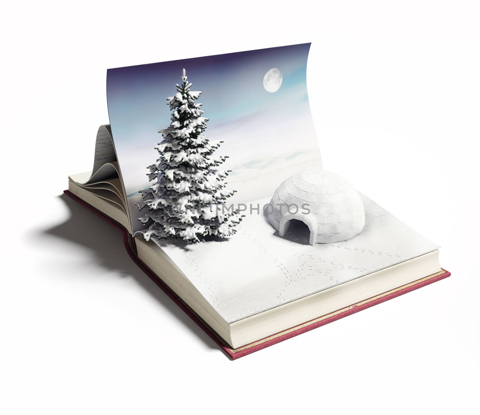 igloo on the open book by vicnt