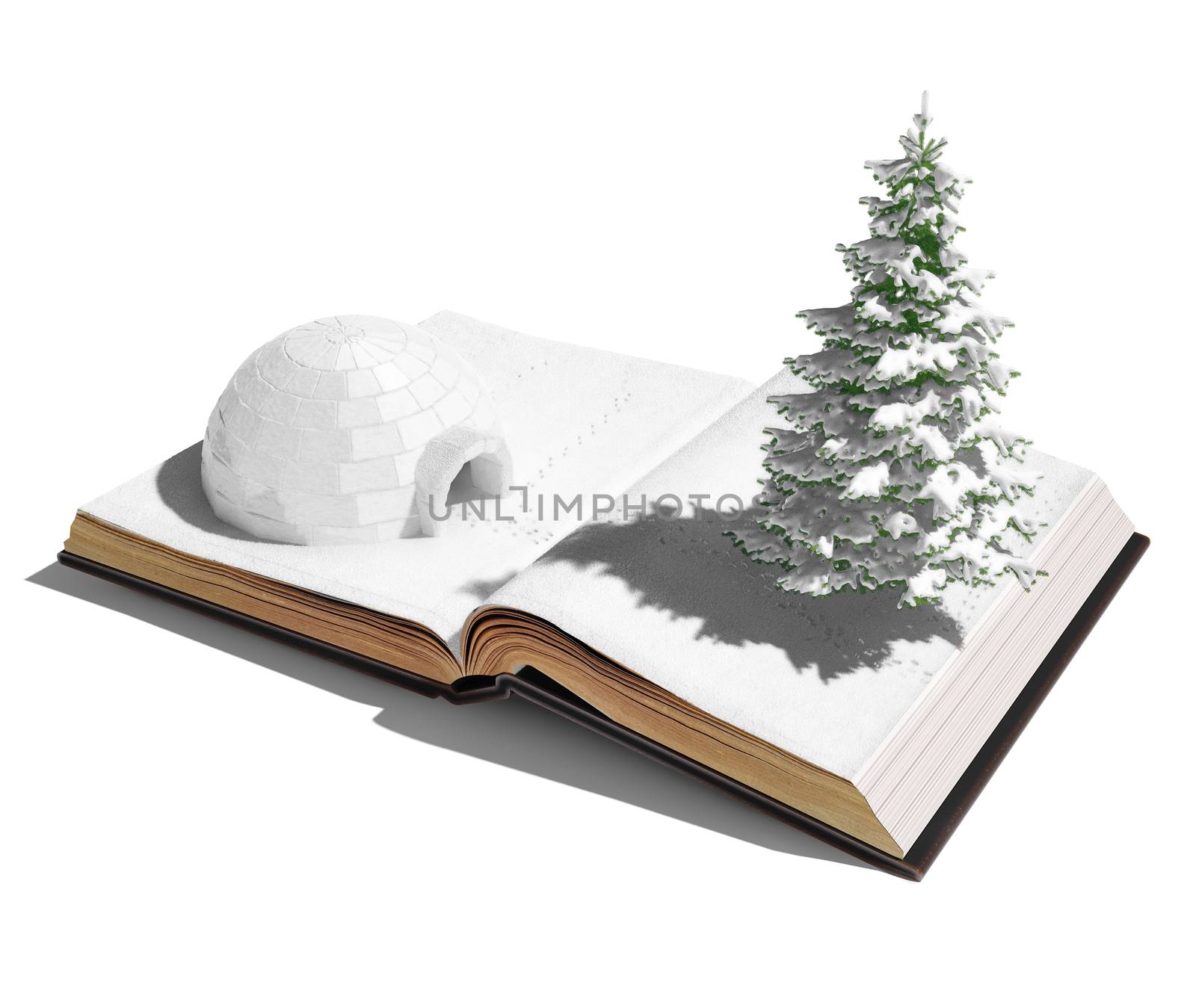 igloo on the open book. 3d concept 
