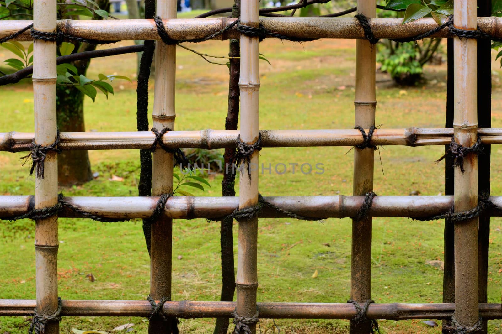 Japan, Kyoto, Bamboo Fence.