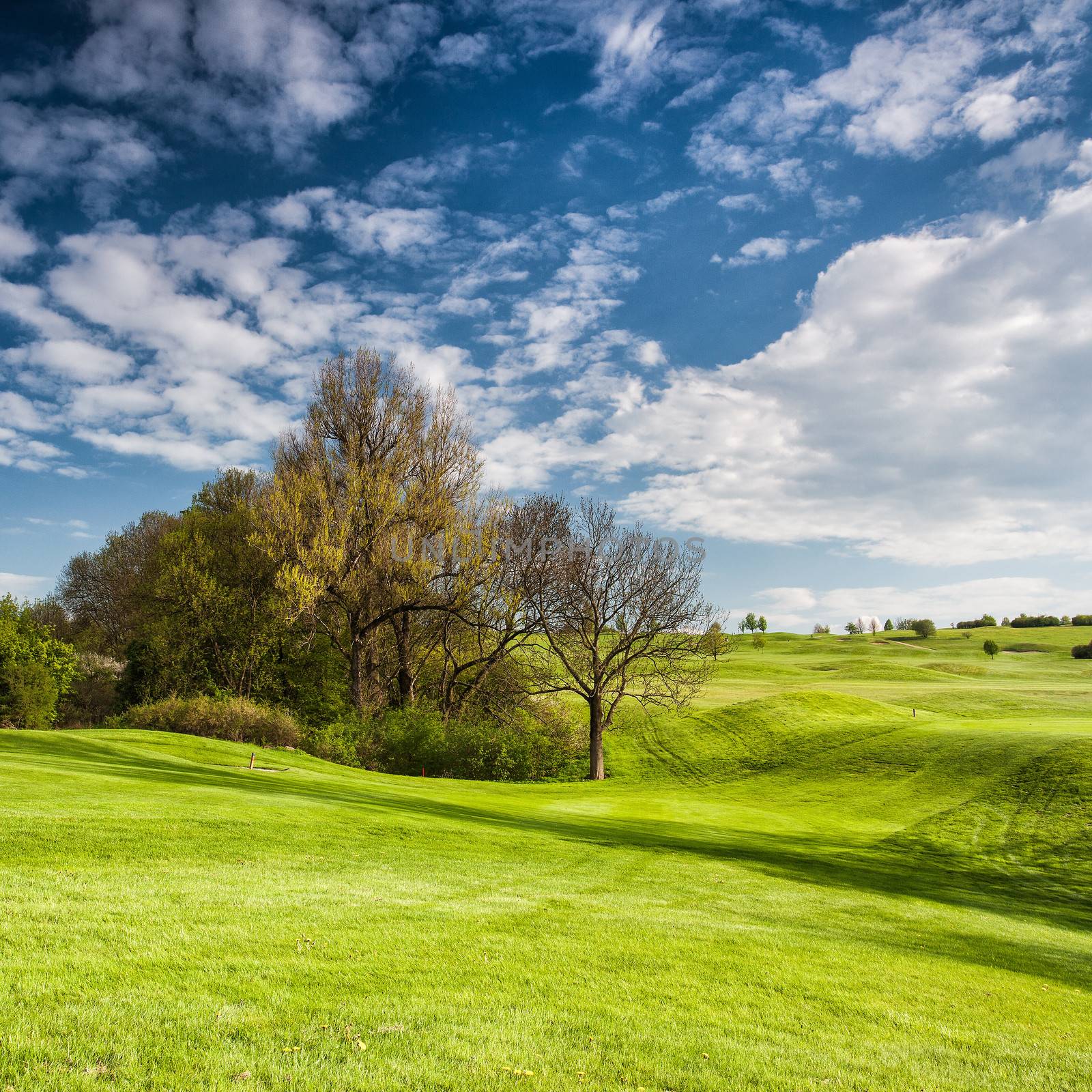 Golf course on the hills by CaptureLight