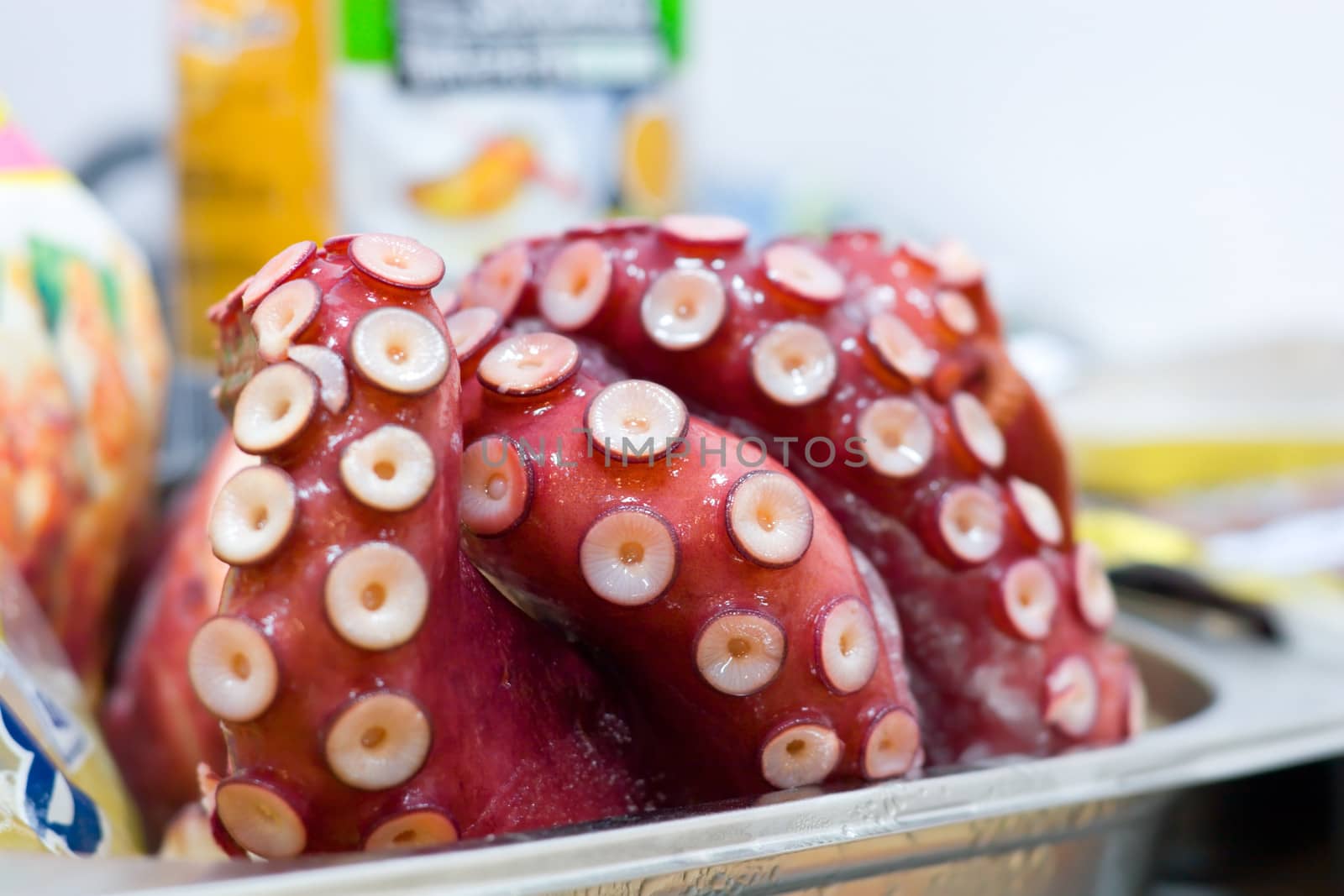 Frozen food shop. Raw octopus lays on the counter.