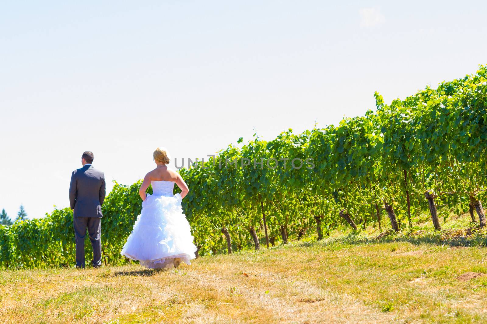A man and woman share a first look moment as bride and groom outdoors at a winery vineyard in Oregon.
