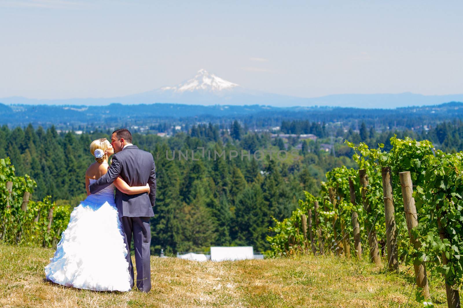 Bride and Groom with Fabulous View by joshuaraineyphotography