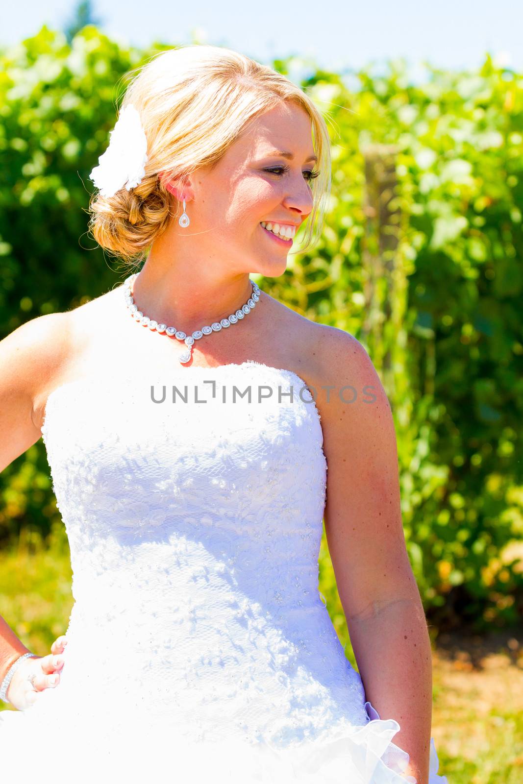 A beautiful bride wearing her wedding dress on her special day at a vineyard outdoors in Oregon during the summer.
