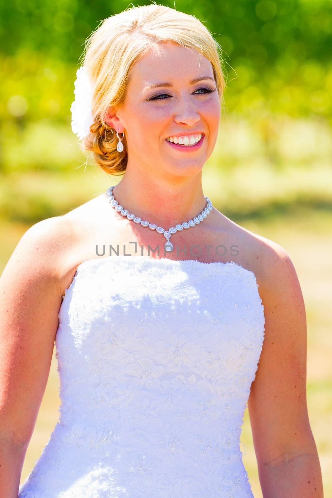 A beautiful bride wearing her wedding dress on her special day at a vineyard outdoors in Oregon during the summer.