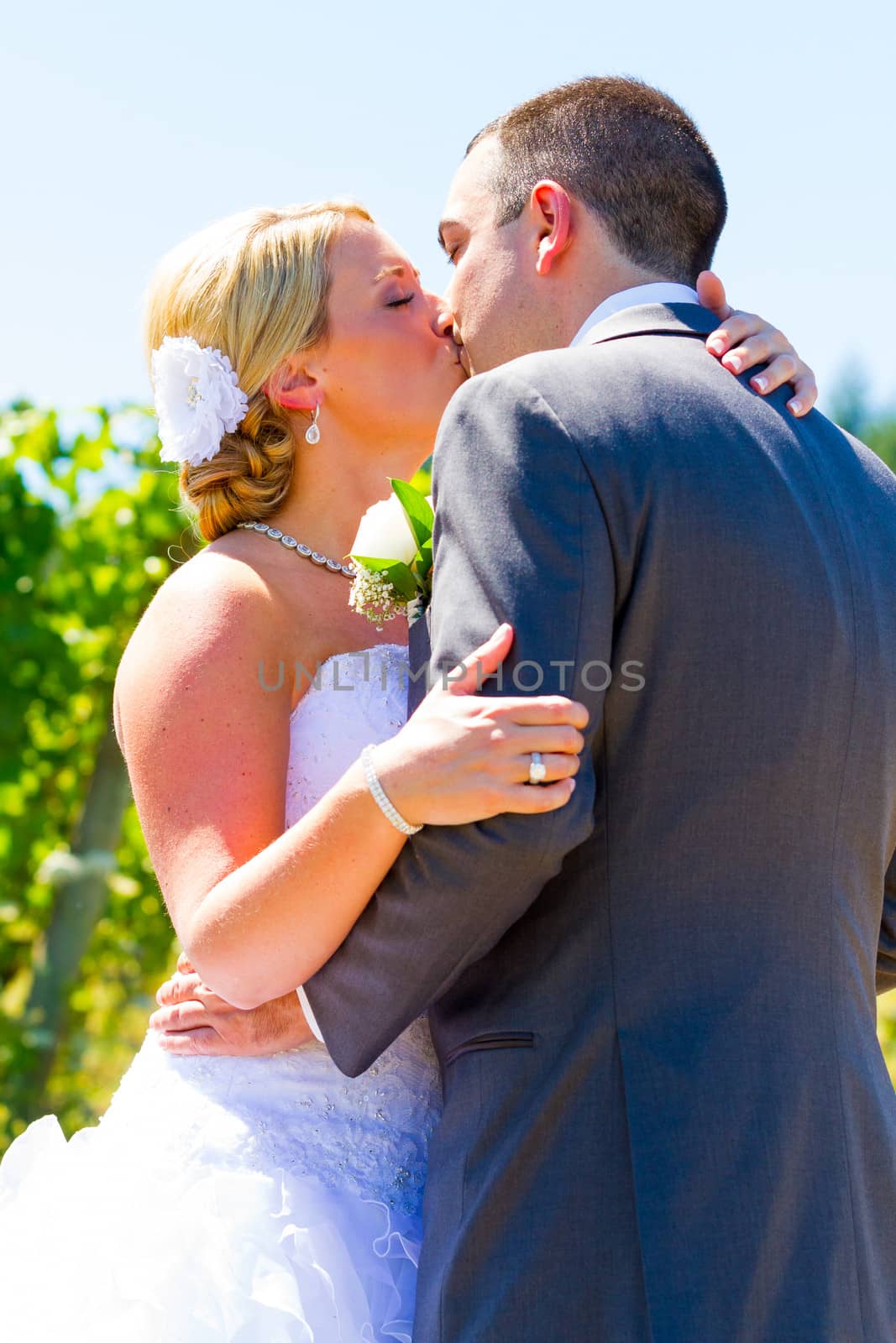 A bride and groom share a romantic kiss on their wedding day at a winery vineyard in oregon.