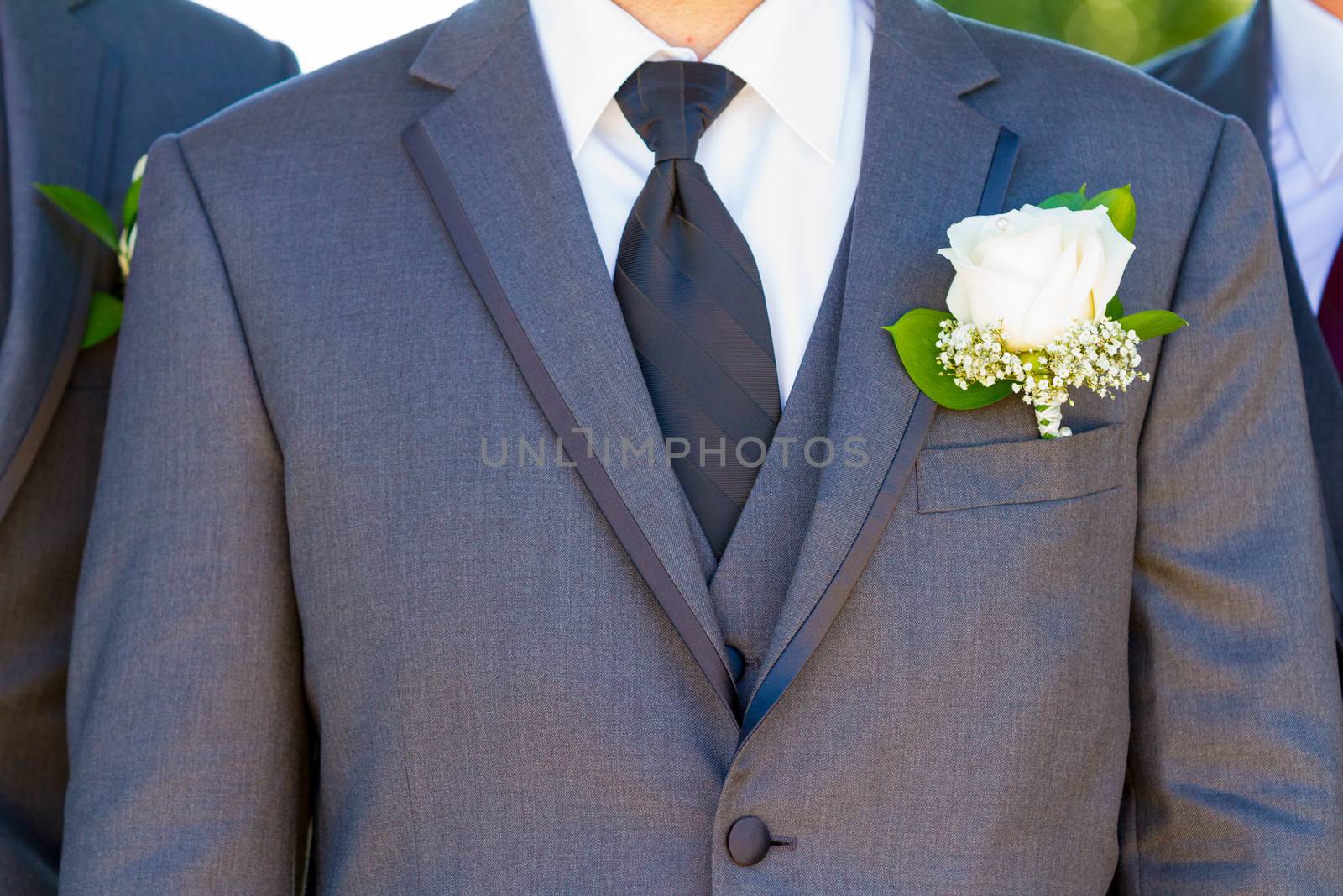 An attractive groom poses for a portrait on his happy wedding day outside at a winery vineyard in Oregon during the summer.