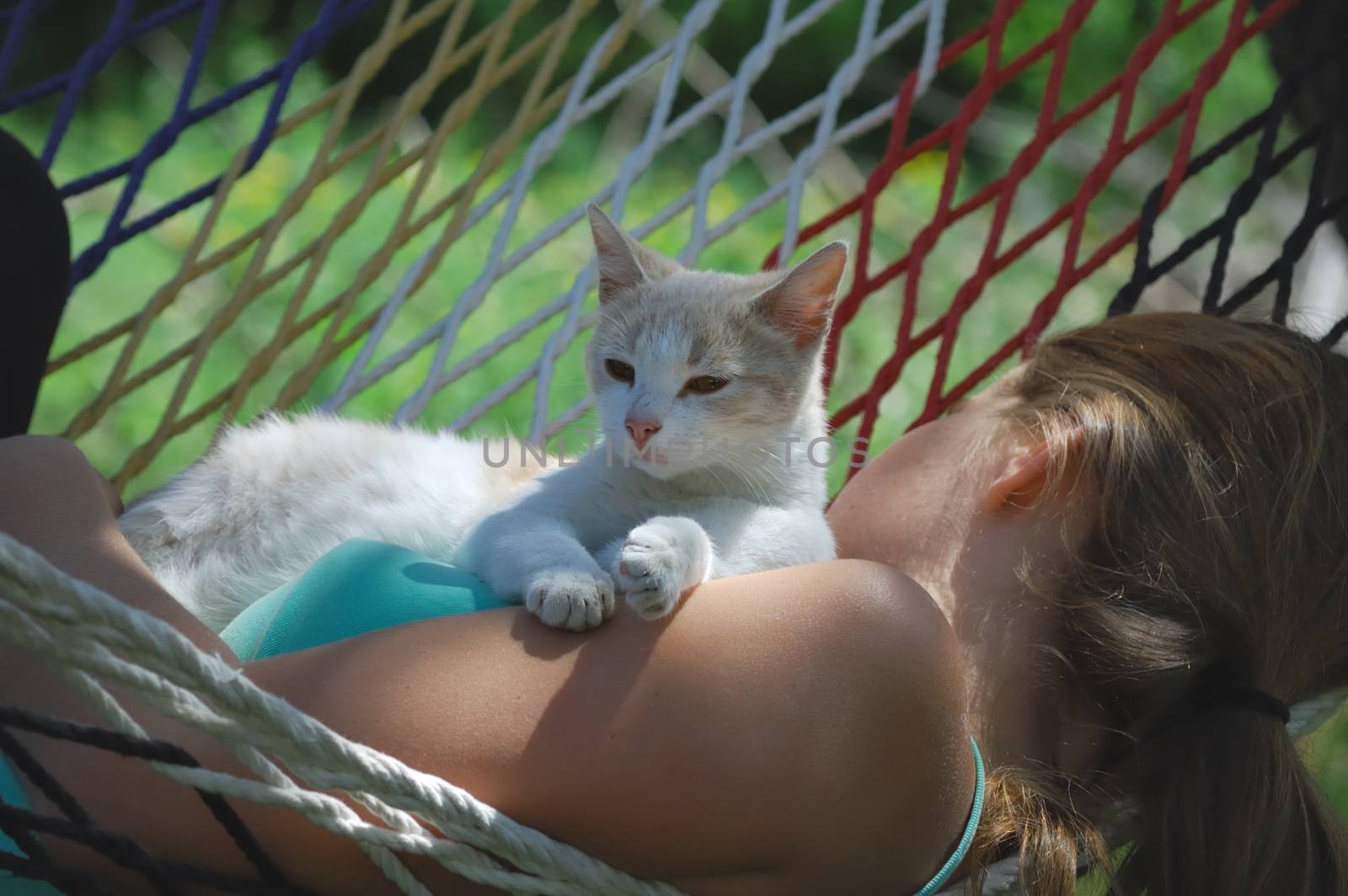 girl resting in a hammock with a kitten