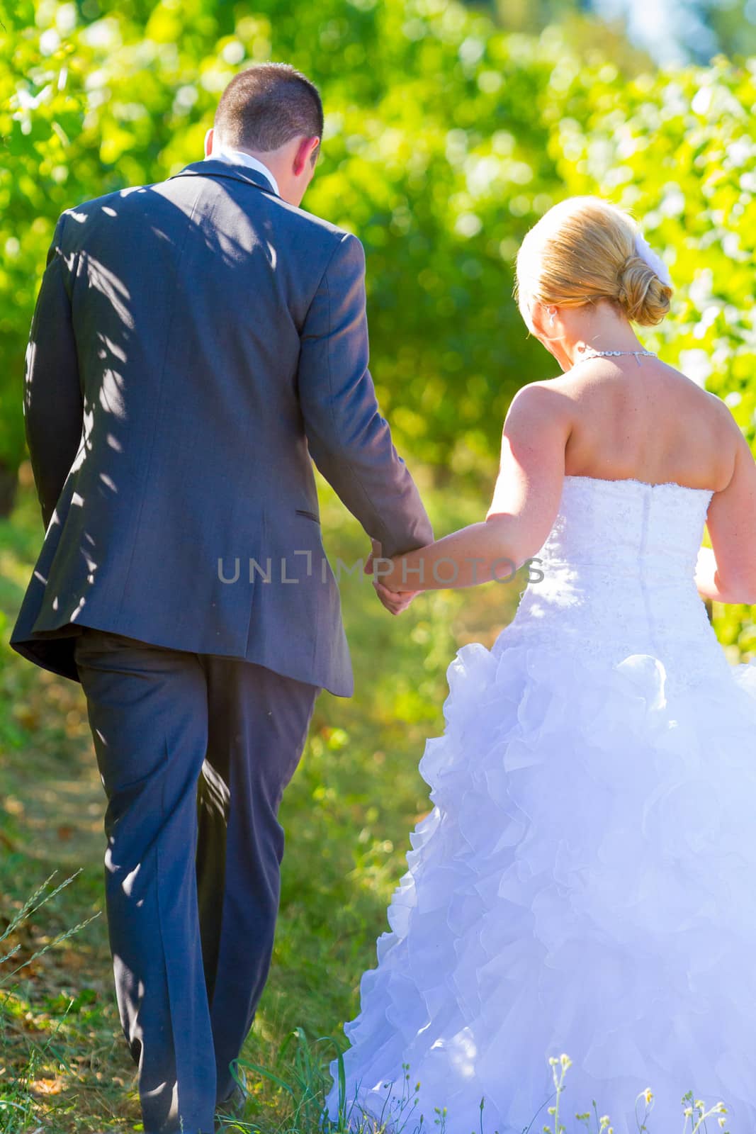 A bride and groom walk away from the camera after their ceremony at a vineyard winery in Oregon.