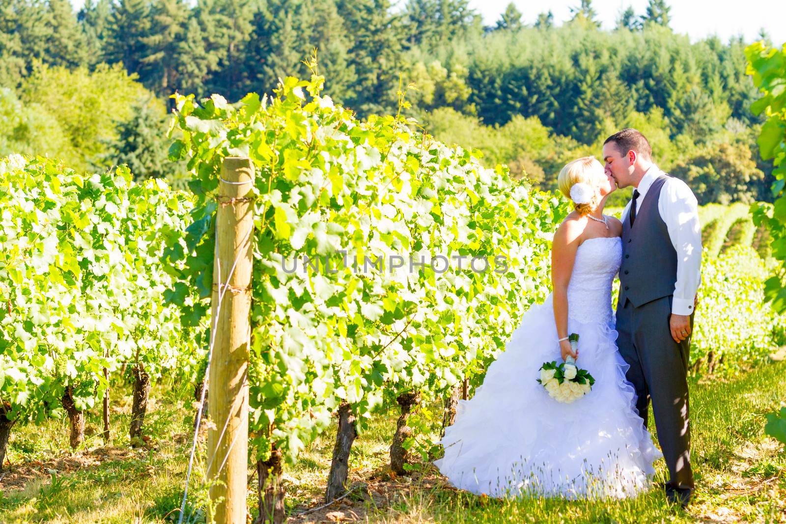 A bride and groom share a kiss after their ceremony on their wedding day at a vineyard winery in Oregon outdoors.