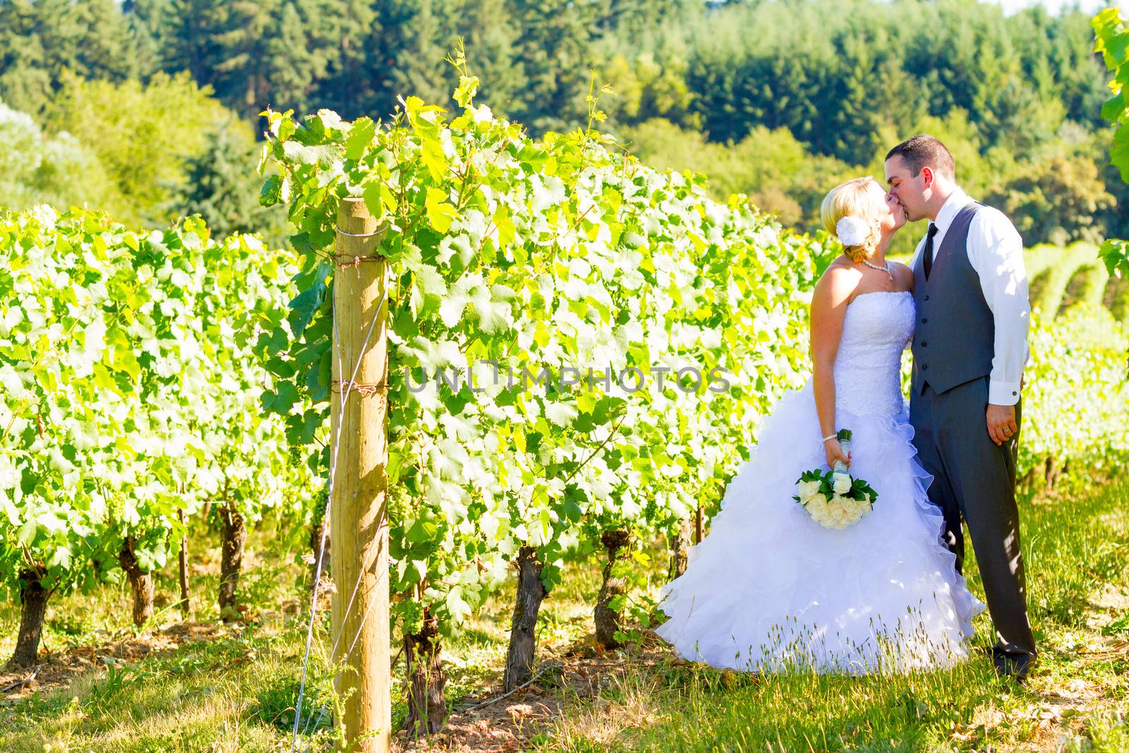 A bride and groom share a kiss after their ceremony on their wedding day at a vineyard winery in Oregon outdoors.