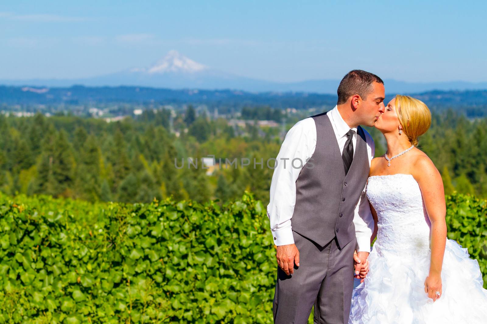 Bride and Groom with Fabulous View by joshuaraineyphotography