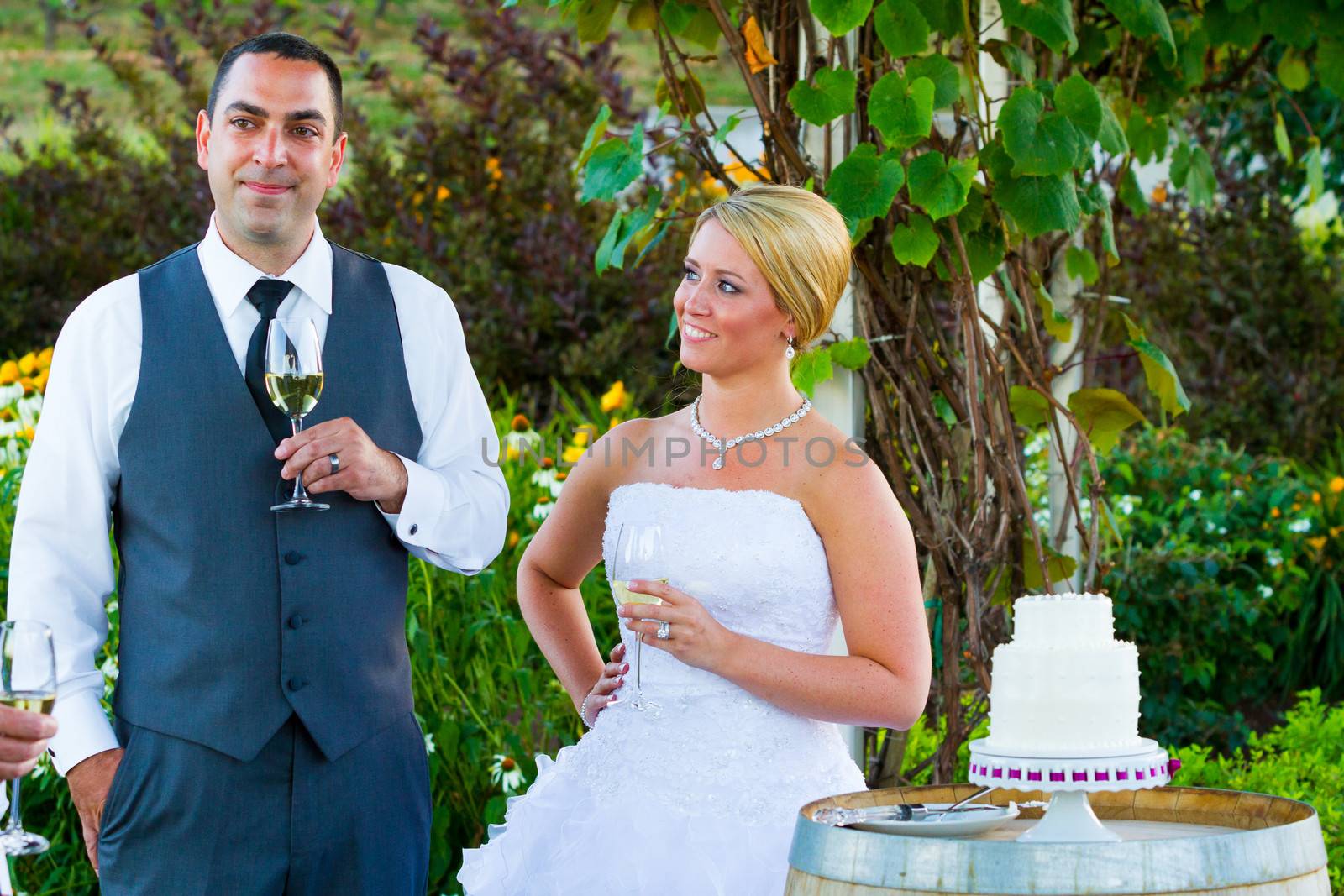 Bride and Groom Wedding Toasts by joshuaraineyphotography