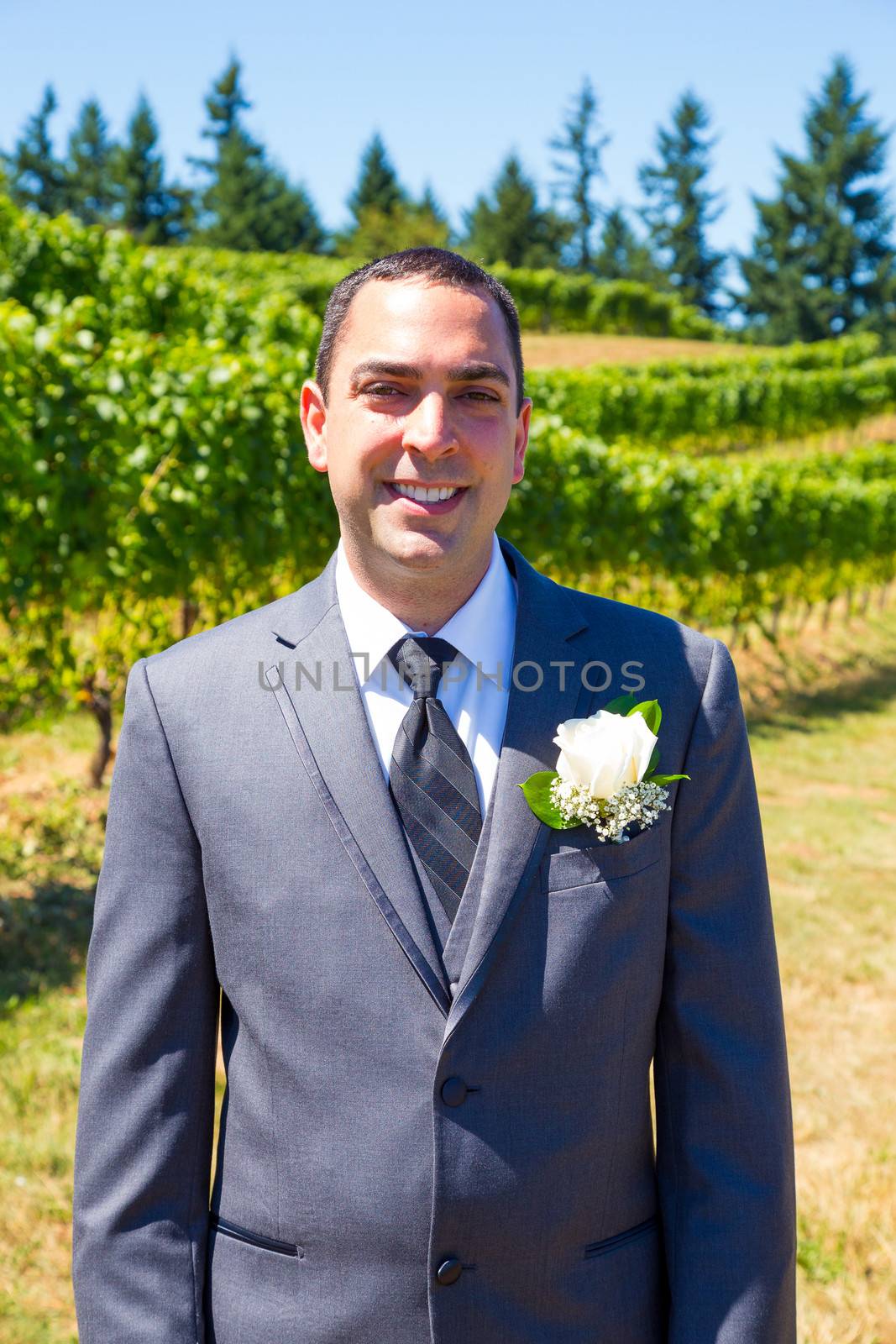 An attractive groom poses for a portrait on his happy wedding day outside at a winery vineyard in Oregon during the summer.