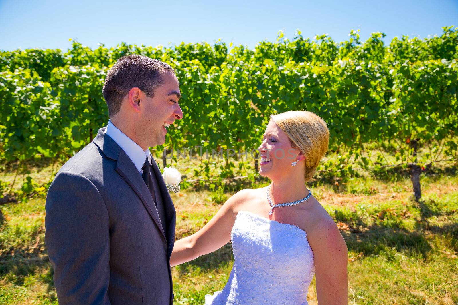 A bride and groom pose for portraits on their wedding day at a winery vineyard outdoors in oregon.