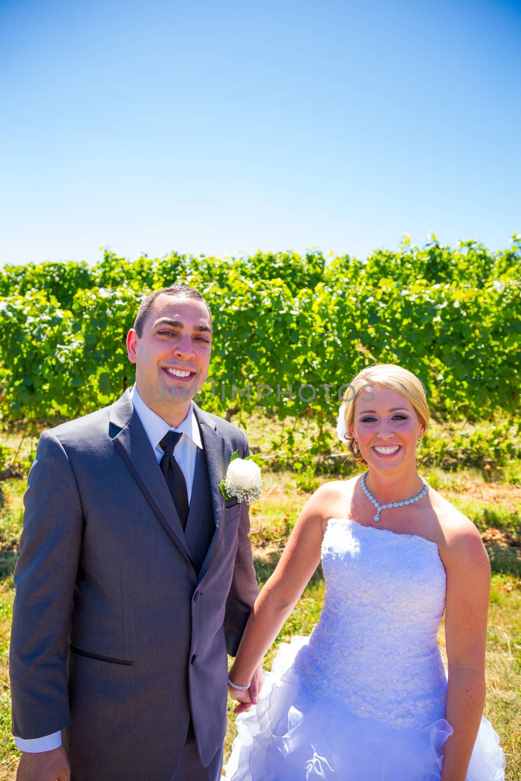 A bride and groom pose for portraits on their wedding day at a winery vineyard outdoors in oregon.