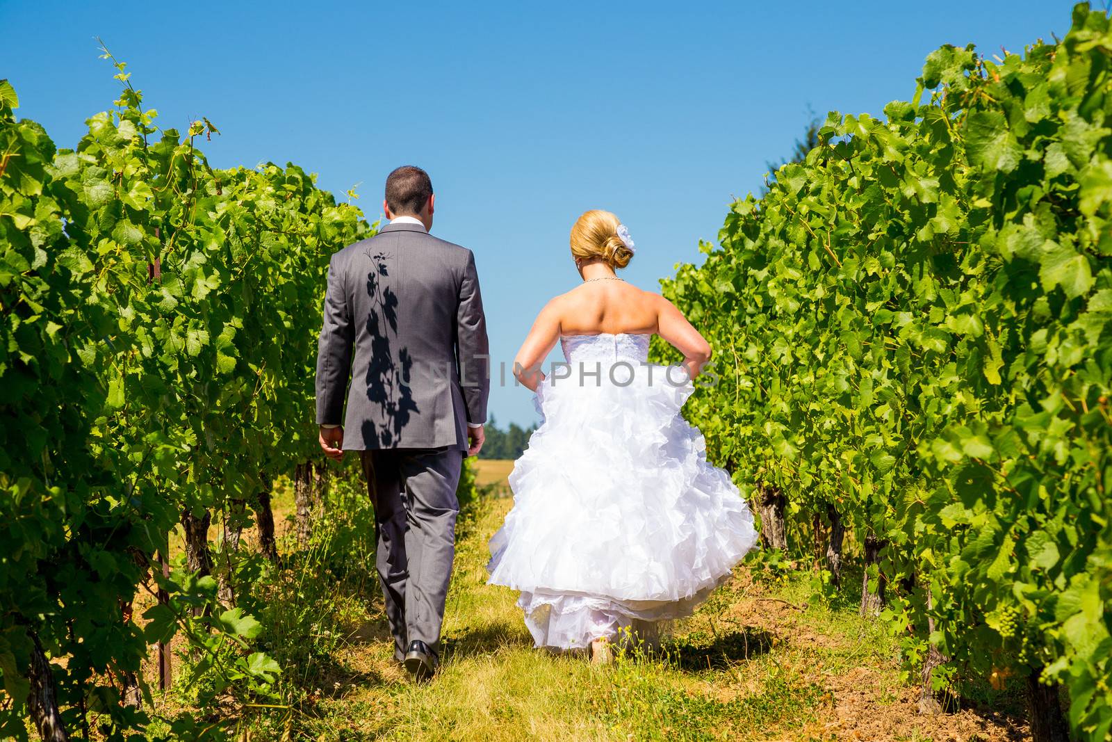 A bride and groom walk away from the camera at a vineyard at a winery in Oregon near portland and mount hood.