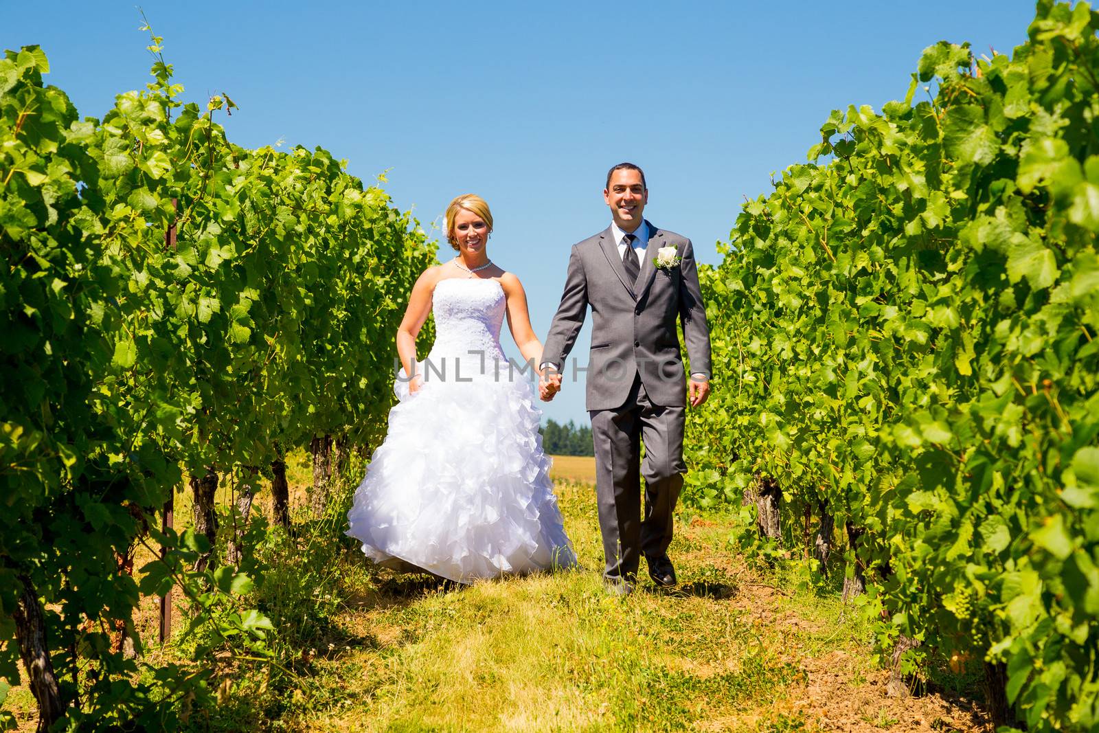 A bride and groom pose for portraits on their wedding day at a winery vineyard outdoors in oregon.