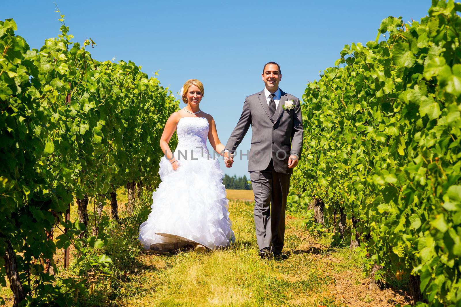 A bride and groom pose for portraits on their wedding day at a winery vineyard outdoors in oregon.