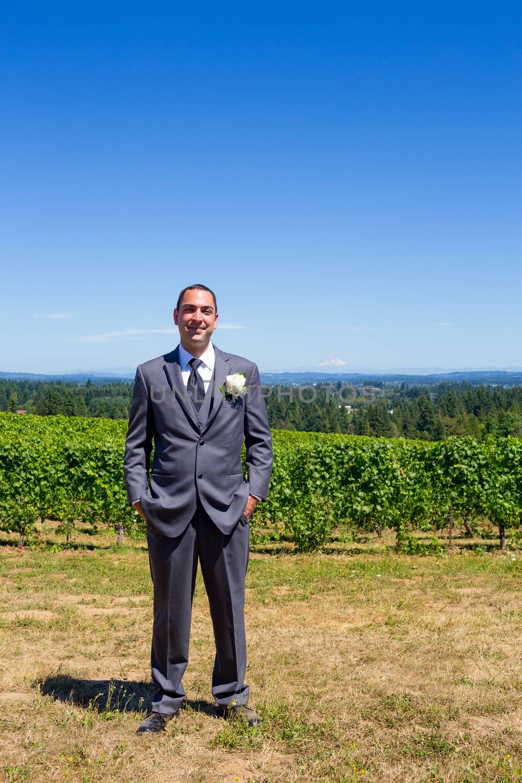 An attractive groom poses for a portrait on his happy wedding day outside at a winery vineyard in Oregon during the summer.