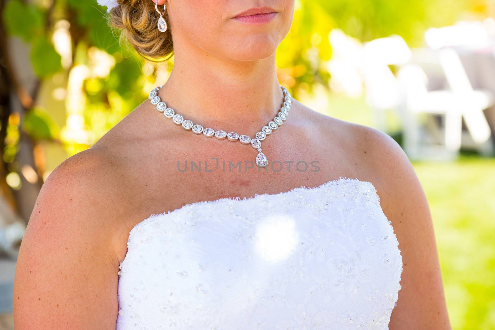 A beautiful bride wearing her wedding dress on her special day at a vineyard outdoors in Oregon during the summer.