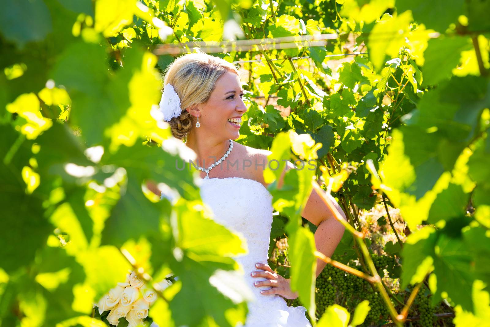 A beautiful bride wearing her wedding dress on her special day at a vineyard outdoors in Oregon during the summer.