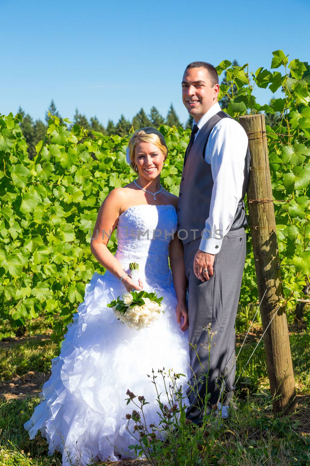 Portraits of a bride and groom outdoors in a vineyard at a winery in Oregon right after their ceremony and vows.