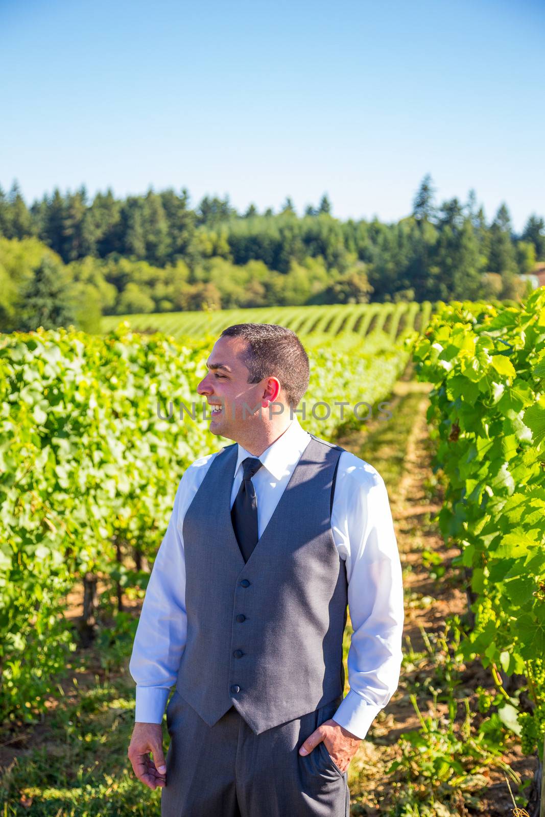 An attractive groom poses for a portrait on his happy wedding day outside at a winery vineyard in Oregon during the summer.