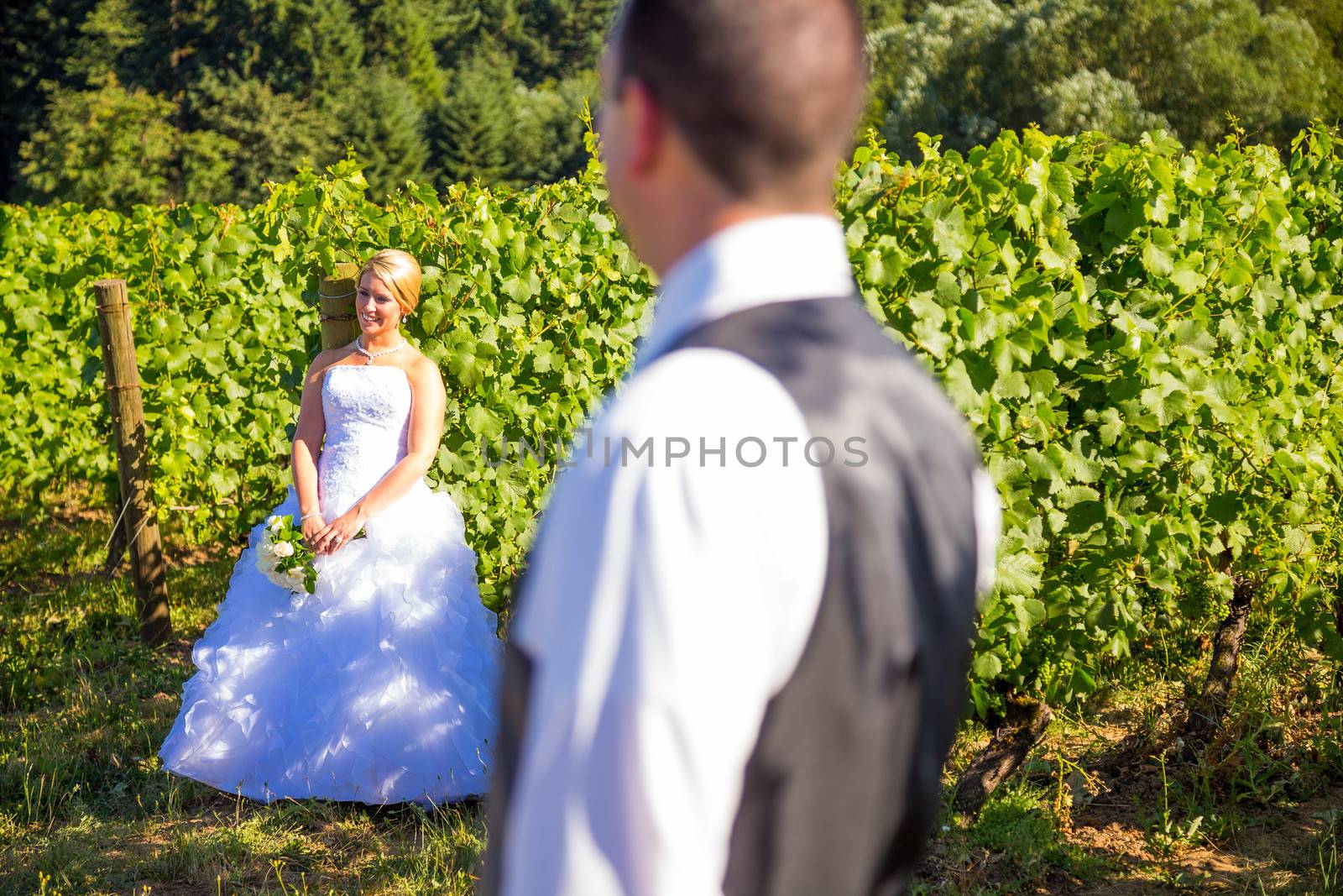 A shallow depth of field is used on this shallow focus layered shot of a bride and groom on their wedding day at a vineyard winery in Portland Oregon.