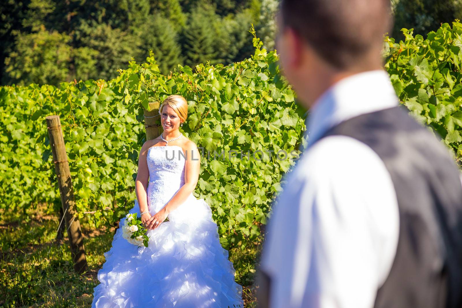 A shallow depth of field is used on this shallow focus layered shot of a bride and groom on their wedding day at a vineyard winery in Portland Oregon.