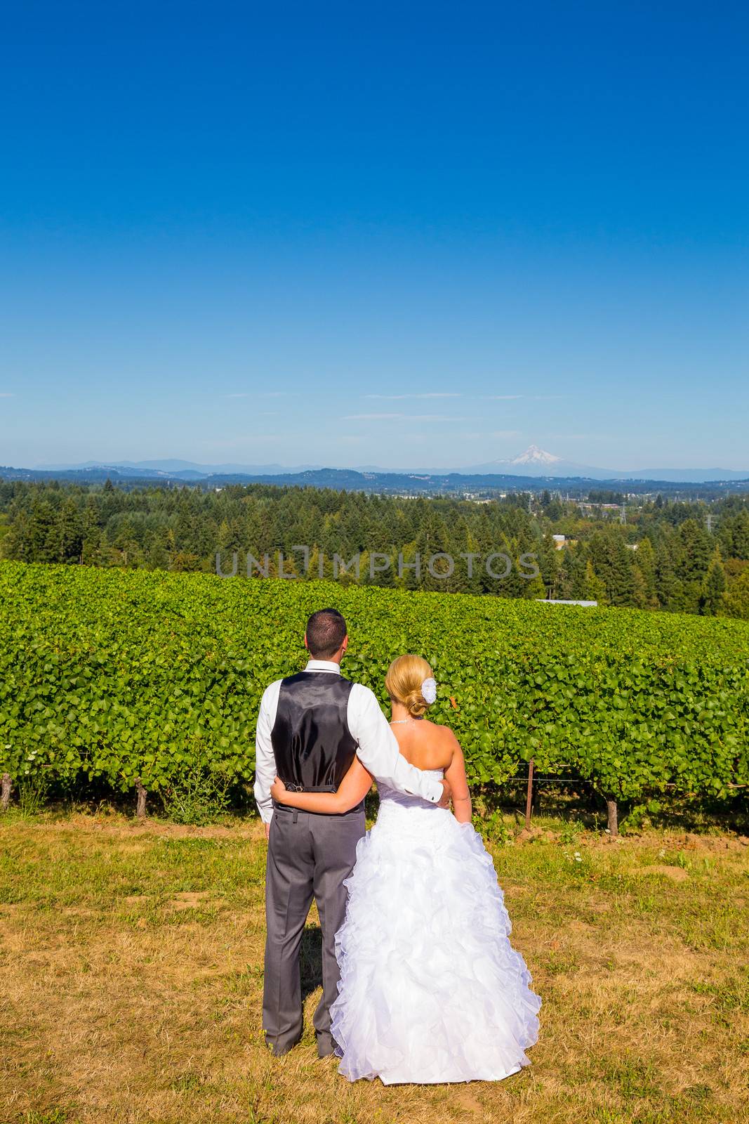 Bride and Groom with Fabulous View by joshuaraineyphotography