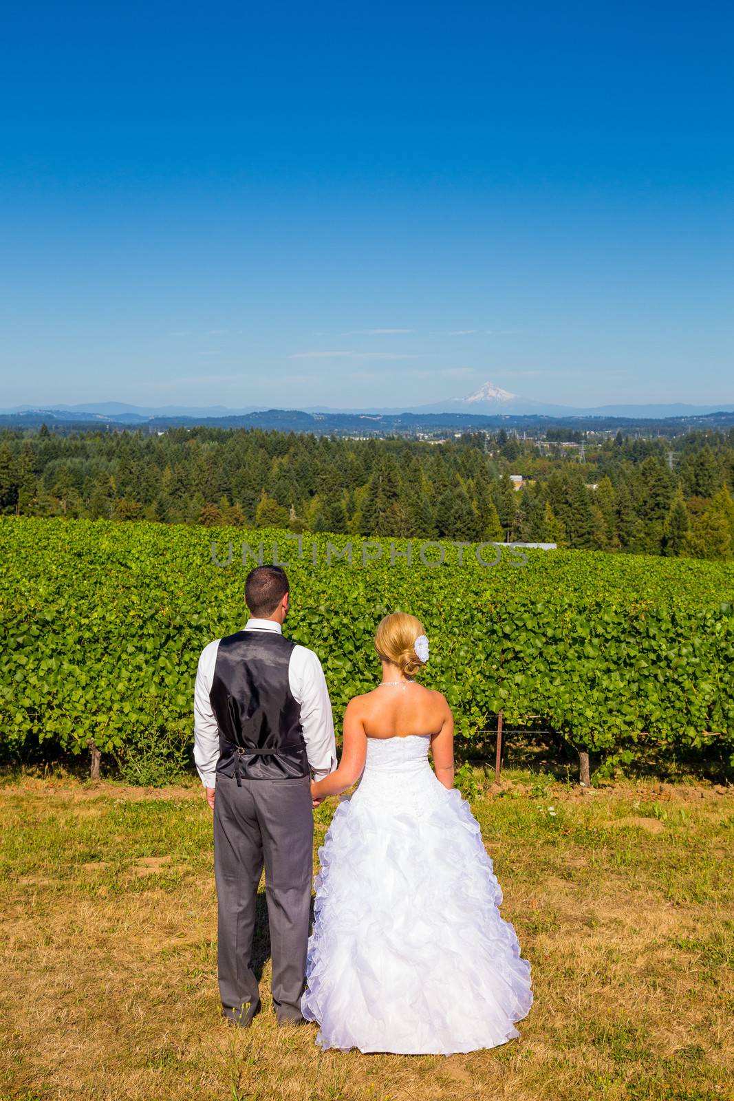 A bride and groom enjoy a view of mount hood in the background from this high elevation winery vineyard in Oregon just outside of Portland.