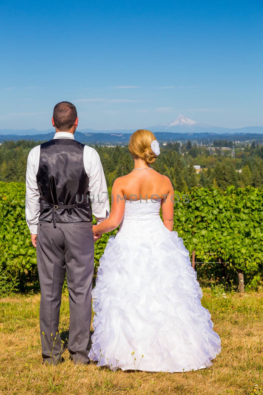 A bride and groom enjoy a view of mount hood in the background from this high elevation winery vineyard in Oregon just outside of Portland.