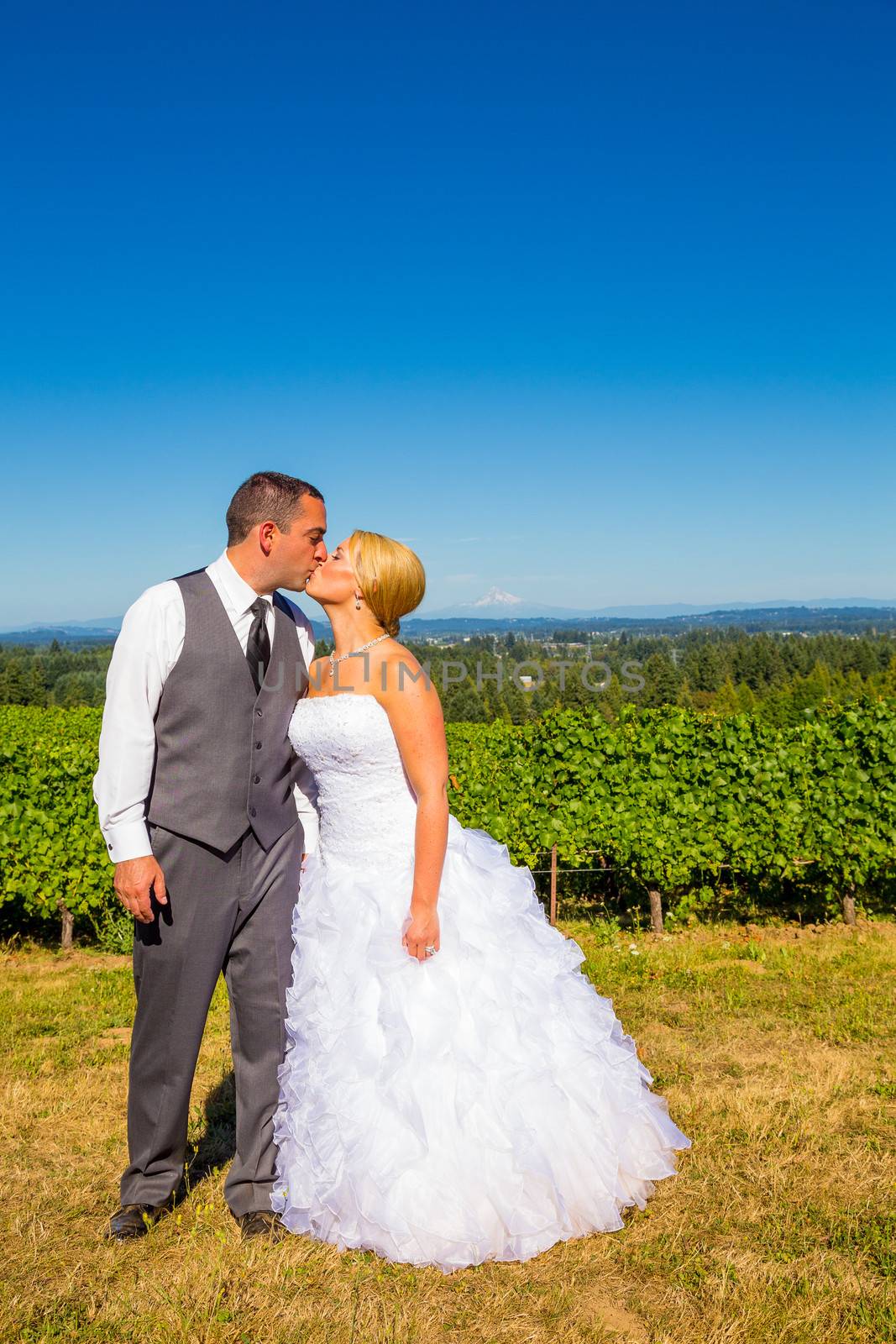 A bride and groom enjoy a view of mount hood in the background from this high elevation winery vineyard in Oregon just outside of Portland.