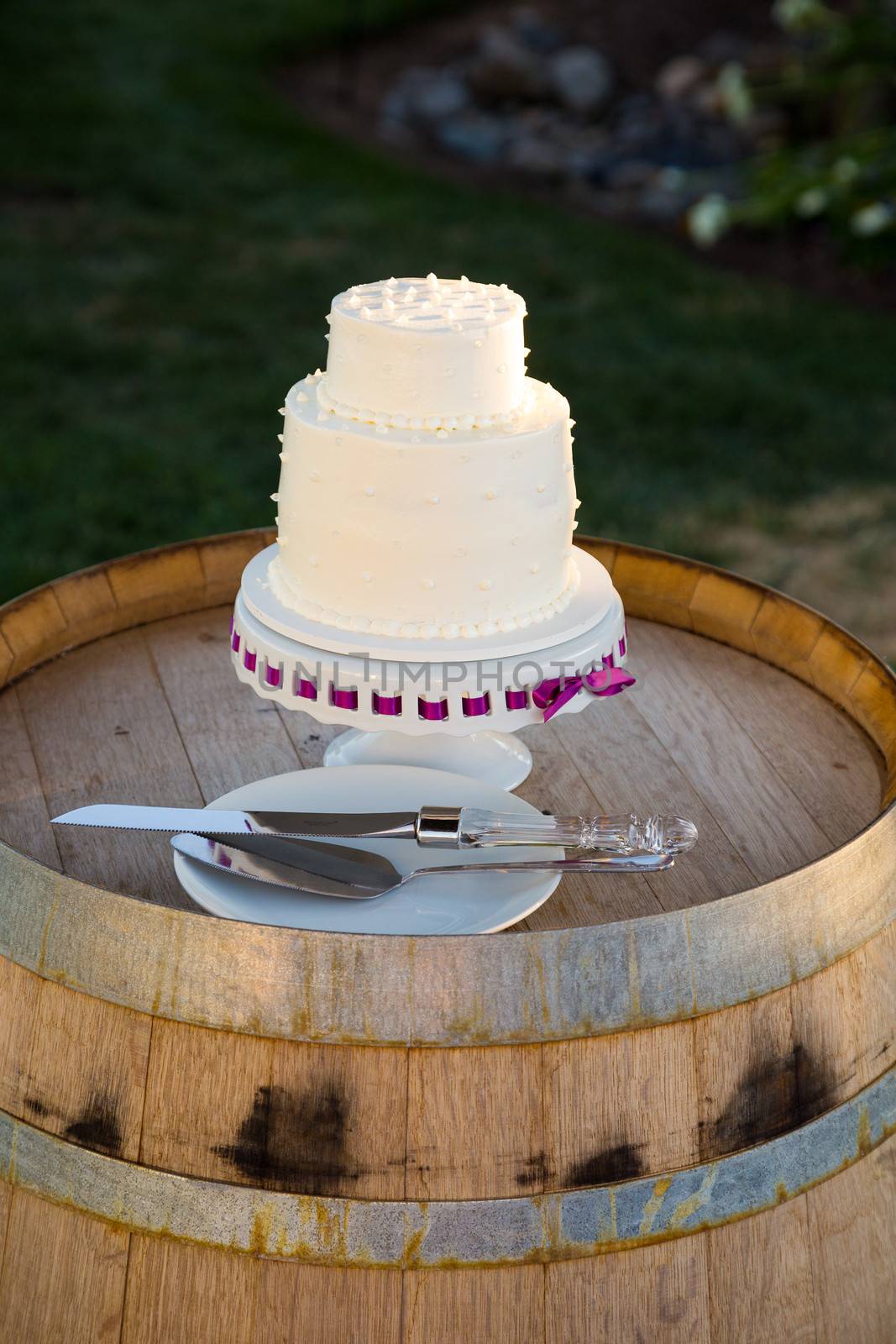 A wedding cake is ready to be cut at a reception on the bride and groom wedding day.