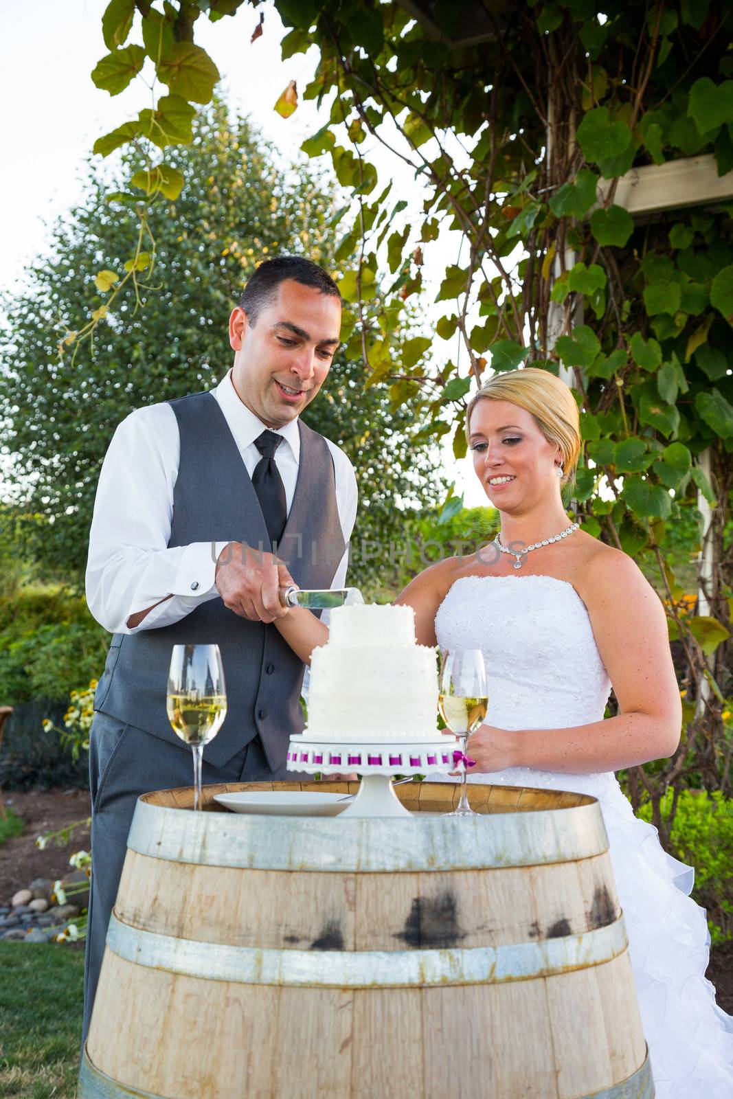 Bride and Groom Cake Cutting by joshuaraineyphotography