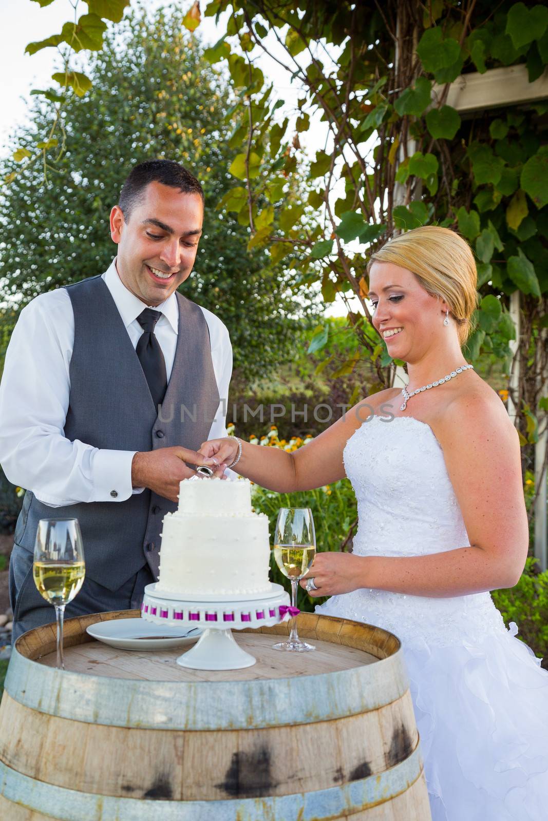 Bride and Groom Cake Cutting by joshuaraineyphotography