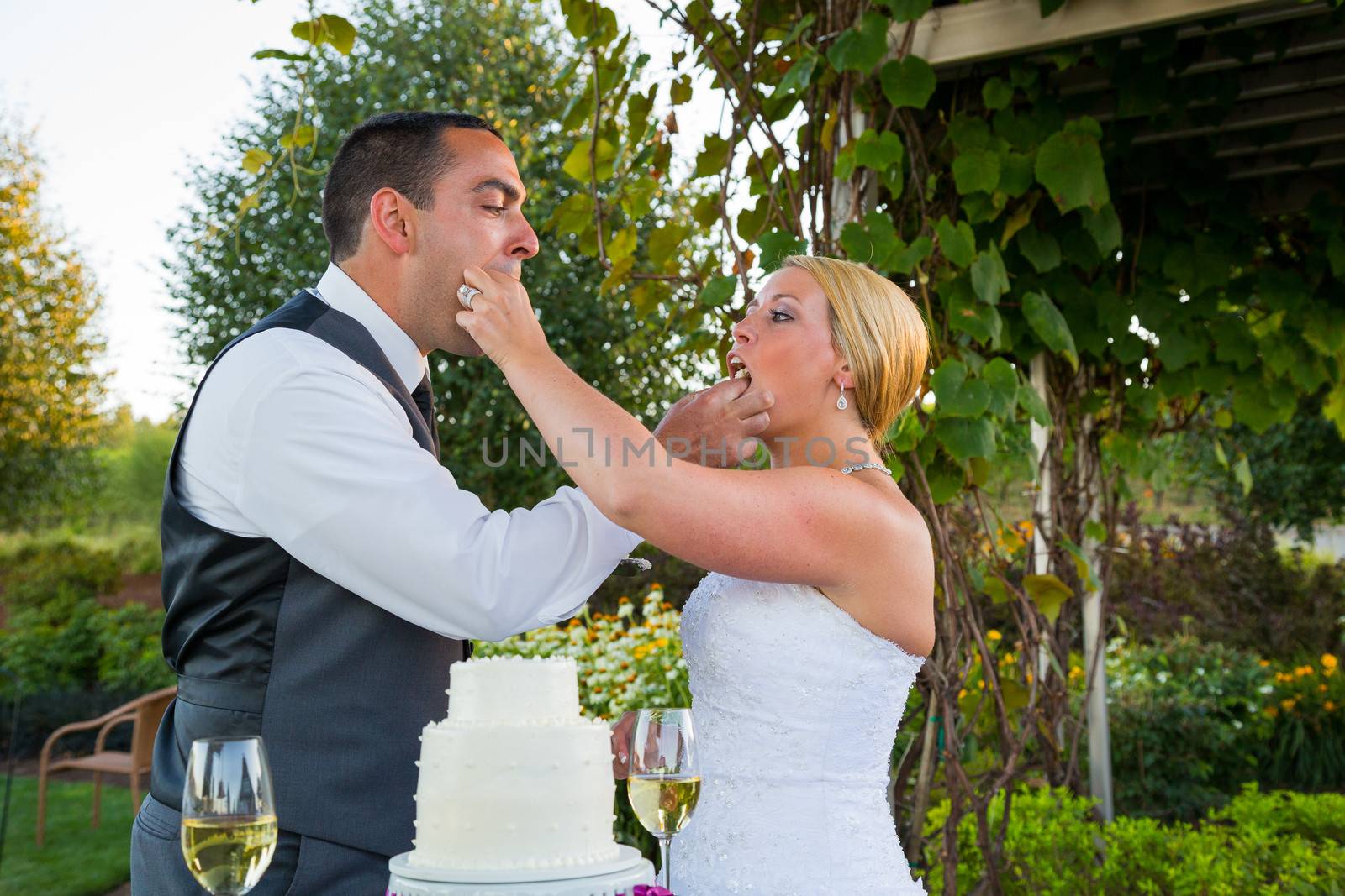 Bride and Groom Cake Cutting by joshuaraineyphotography