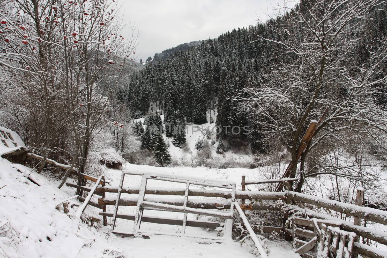 Winter landscape from Rodopi Mountains, Bulgaria