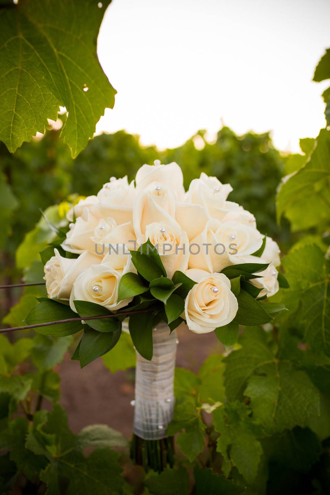 Bridal Bouquet in Vineyard by joshuaraineyphotography