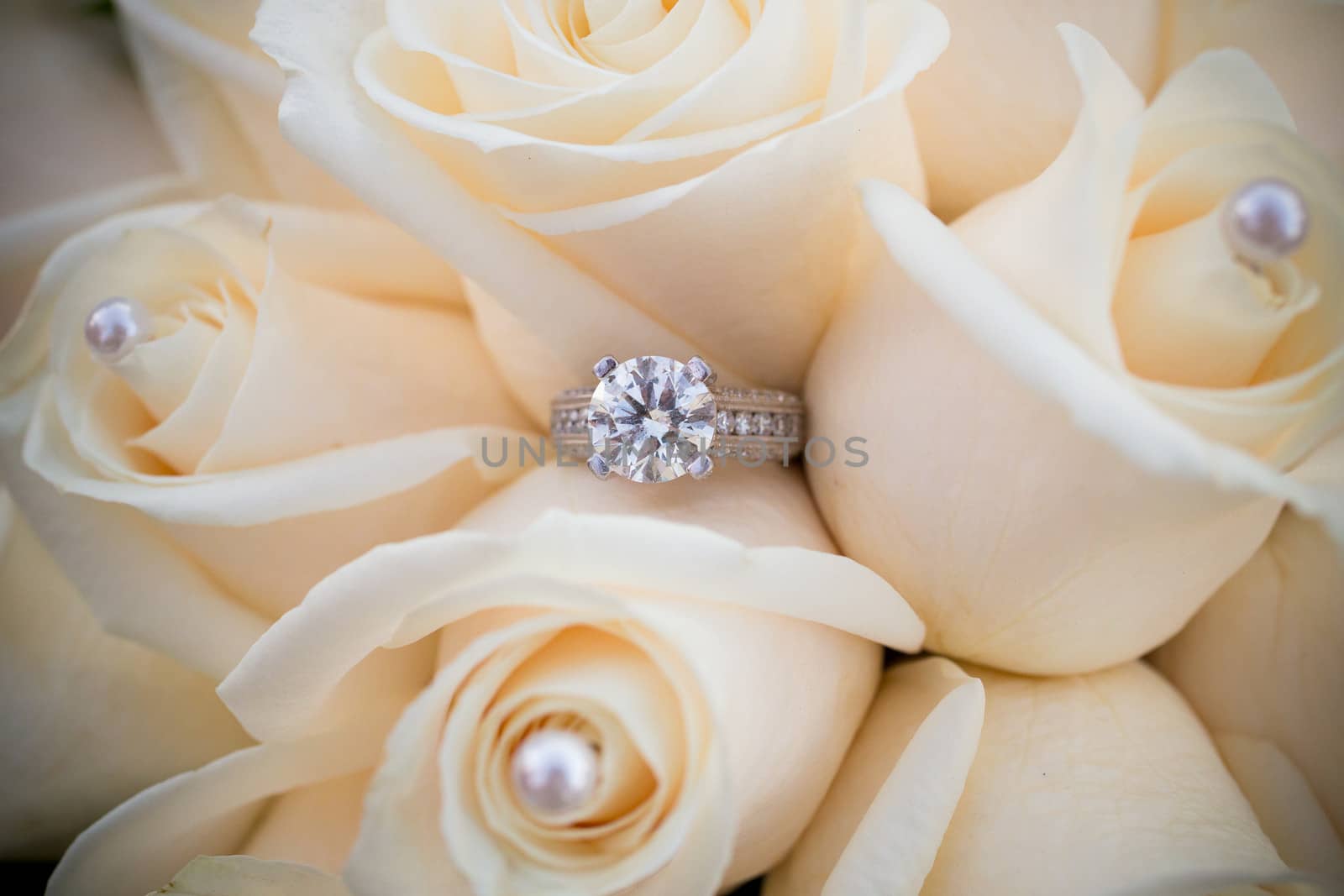 The rings of a bride and groom are photographed with a macro lens to show the closeup detail of these fine pieces of jewelry.