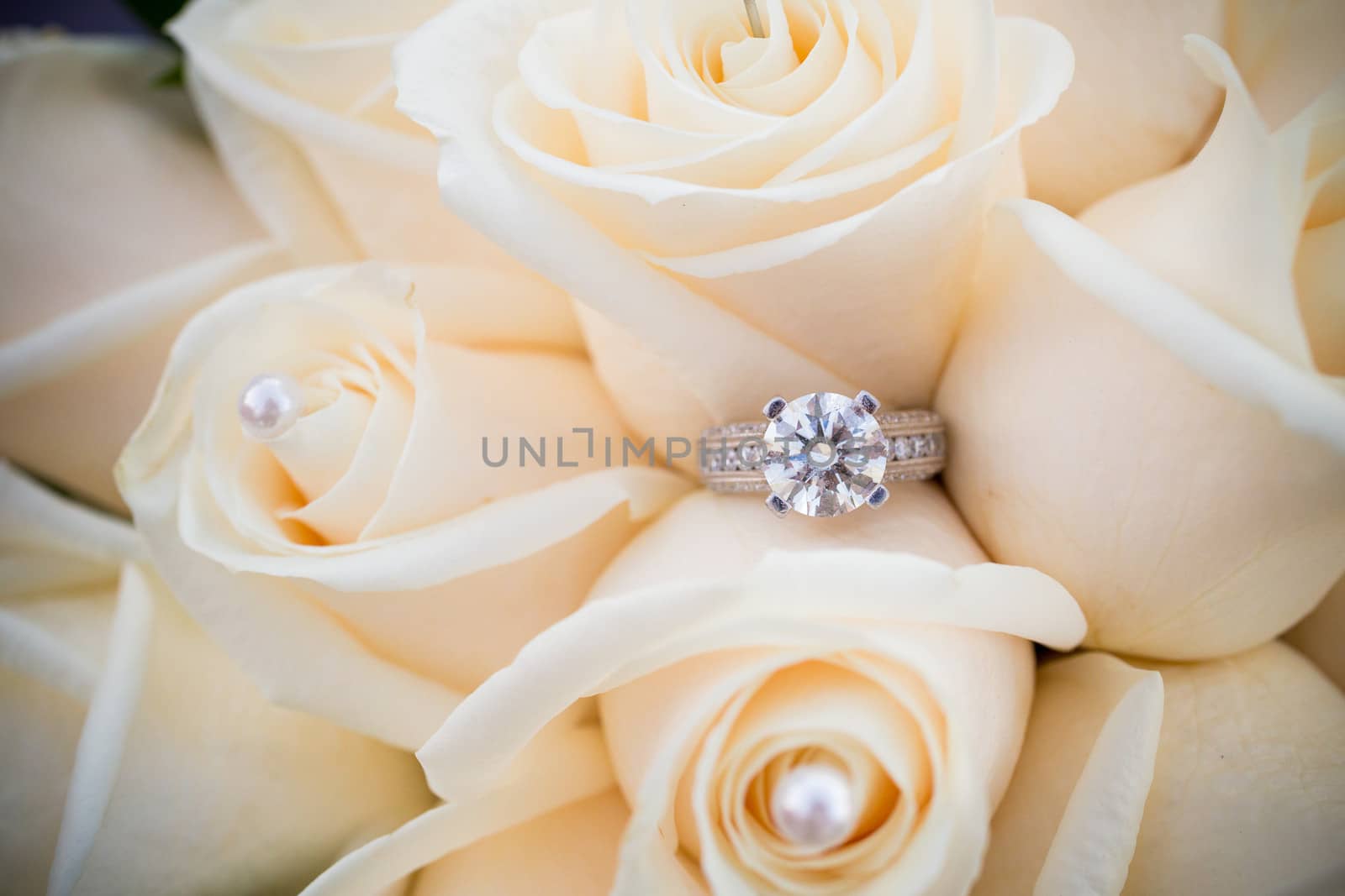 The rings of a bride and groom are photographed with a macro lens to show the closeup detail of these fine pieces of jewelry.