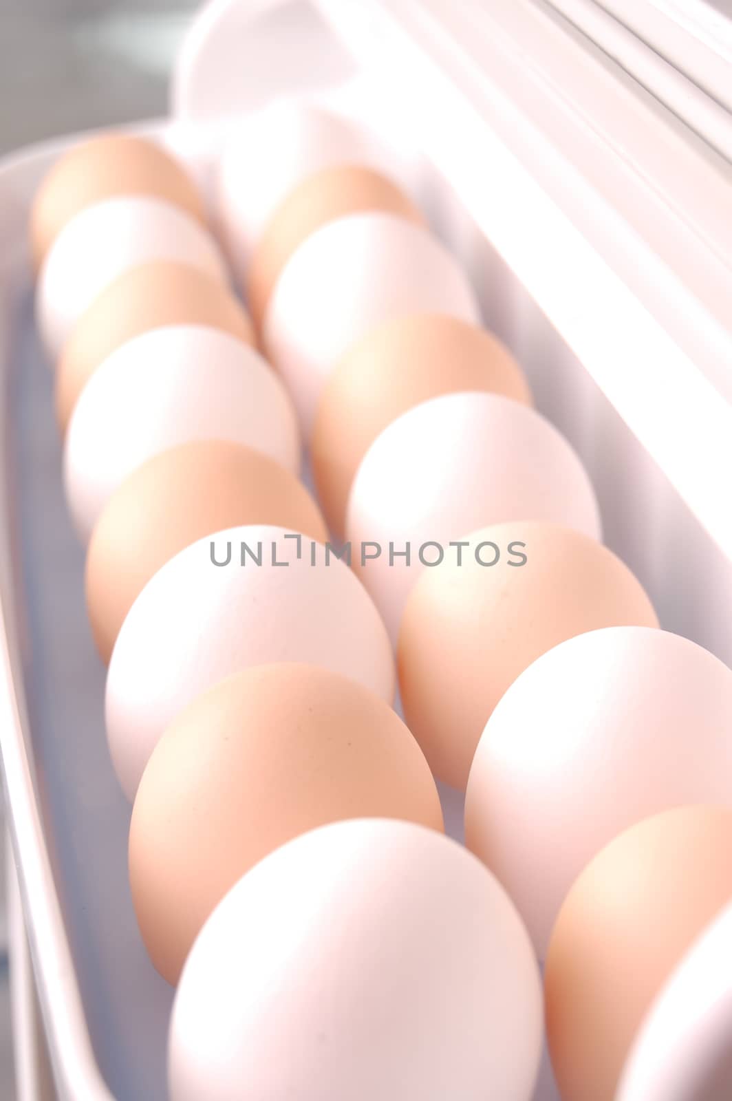 two rows of eggs in refrigerator by mycola