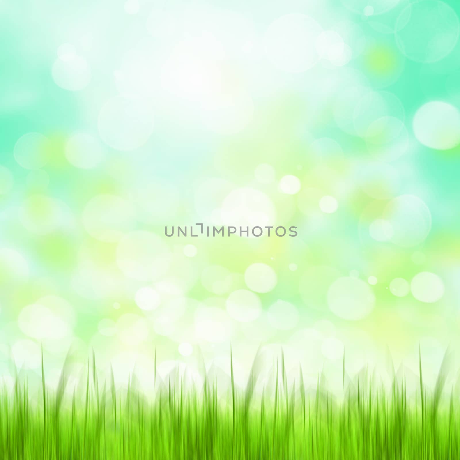 Green summer meadow with sun glare and rays