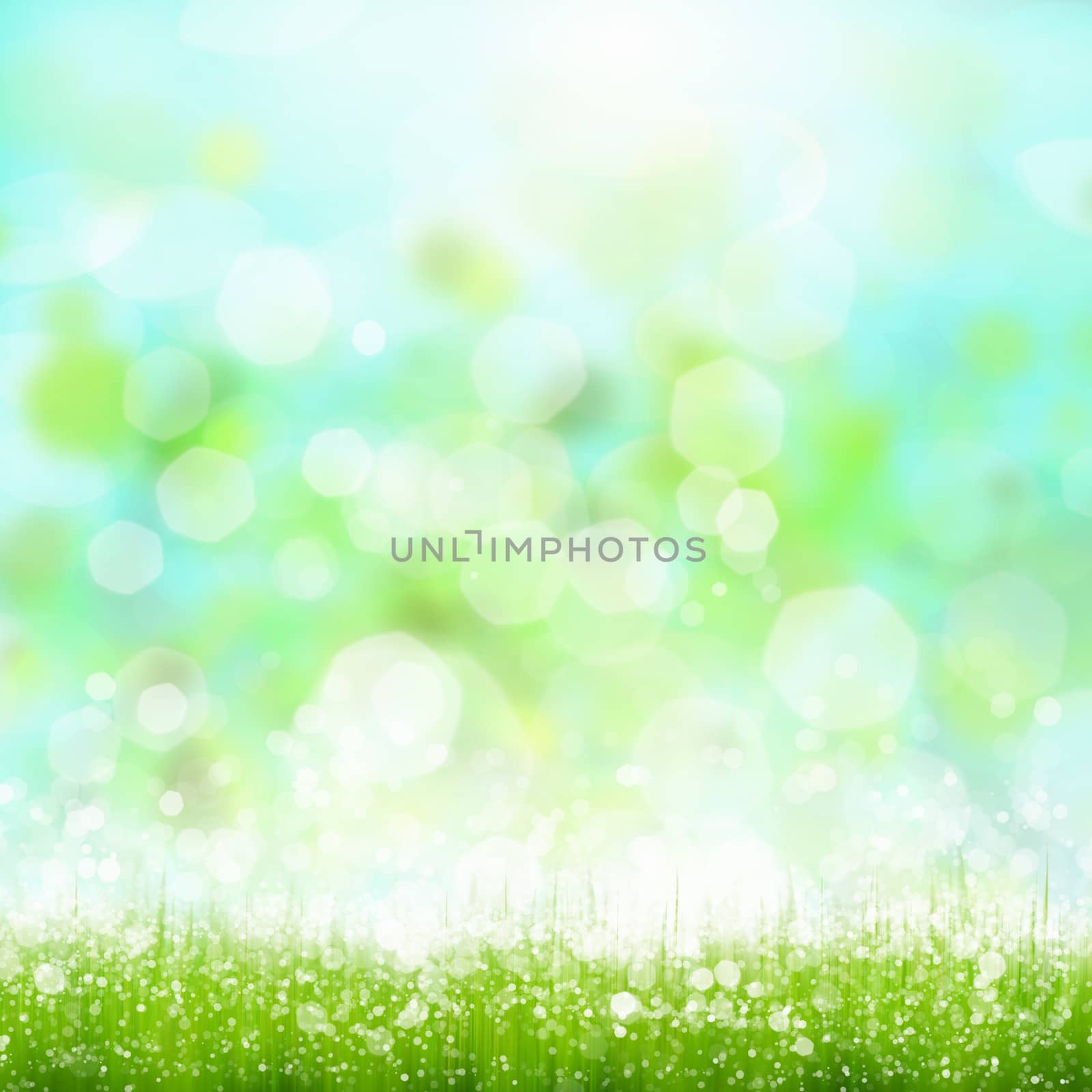 Green summer meadow with sun glare and rays