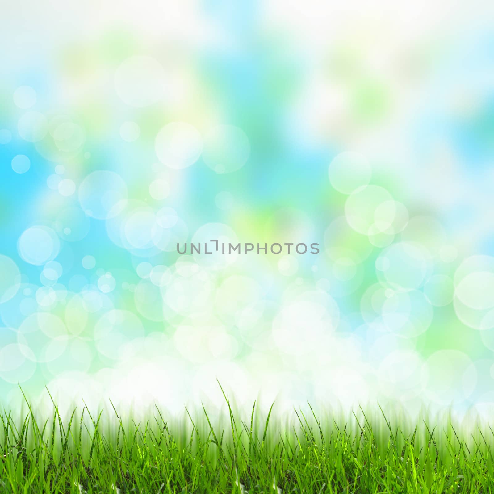 Green summer meadow with sun glare and rays