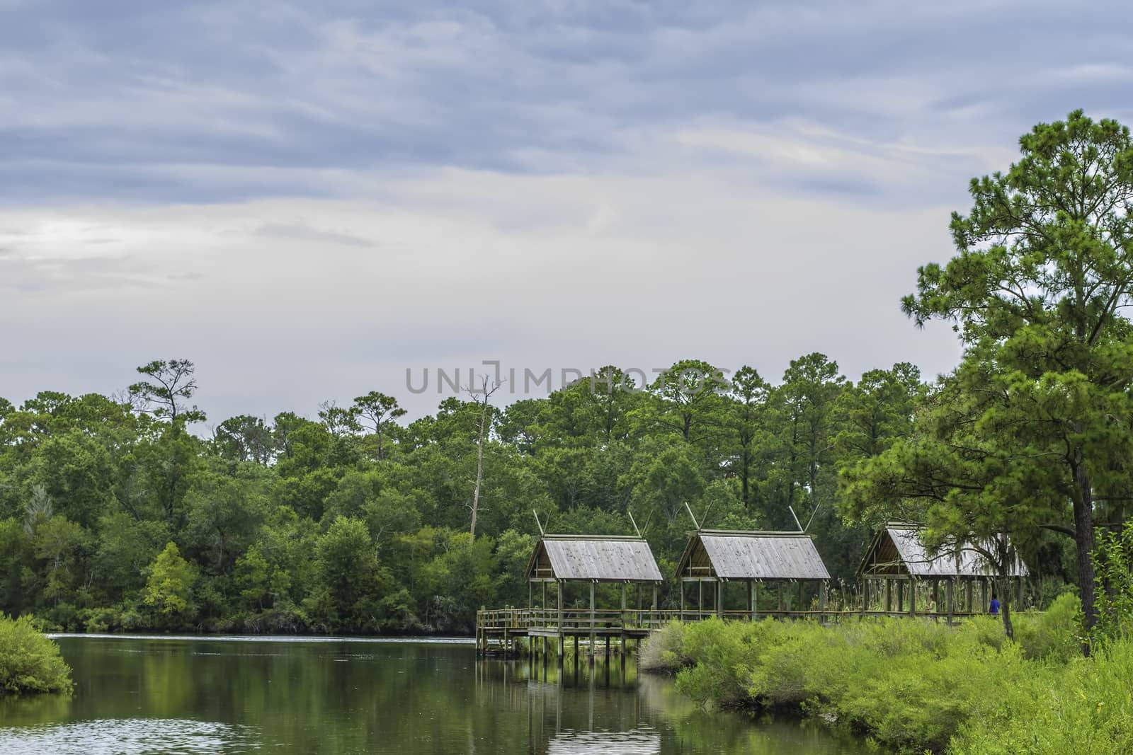 Small fishing piers among a calm lake with trees draped behind them.