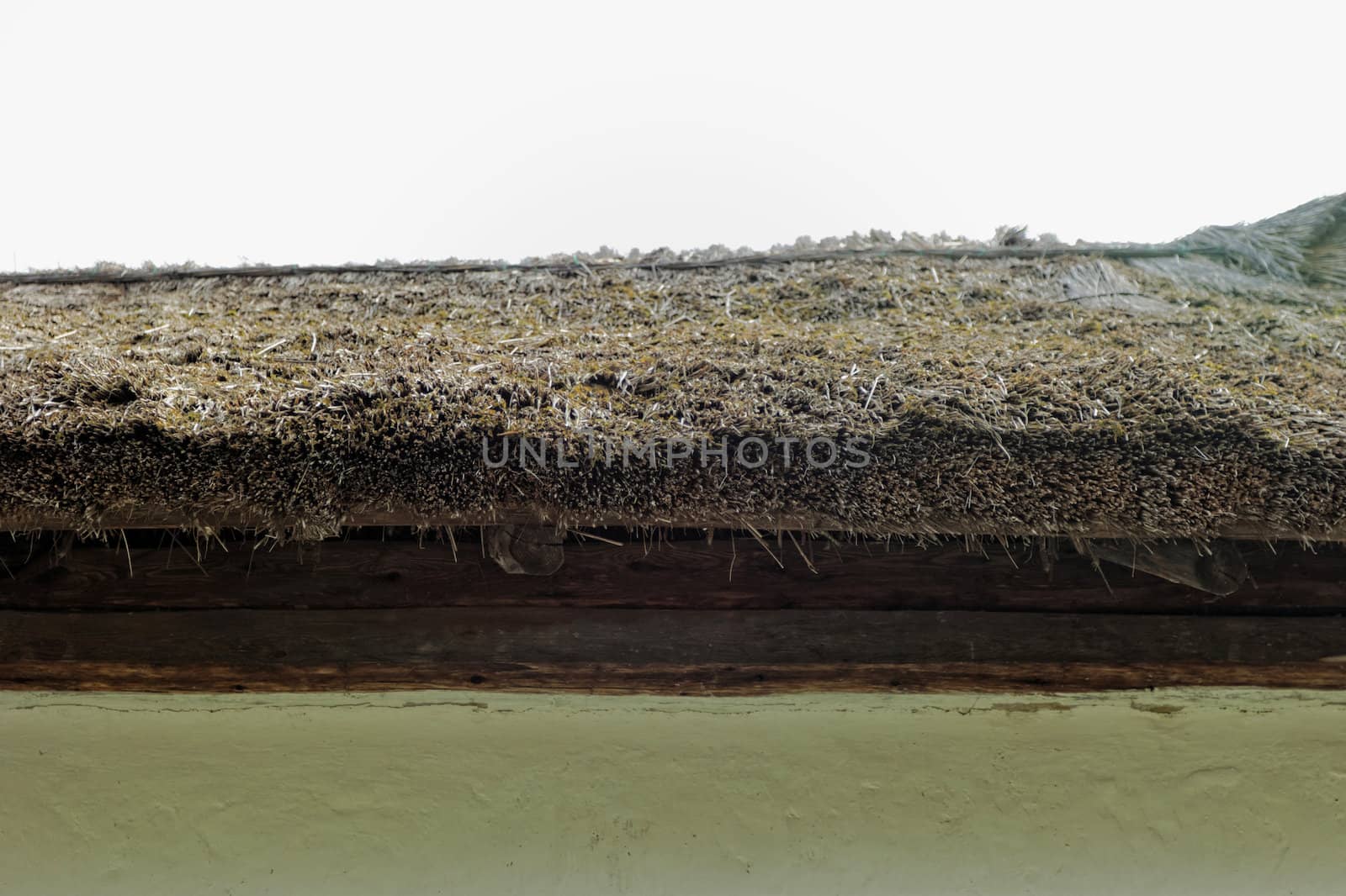 Close-up of a reed roof