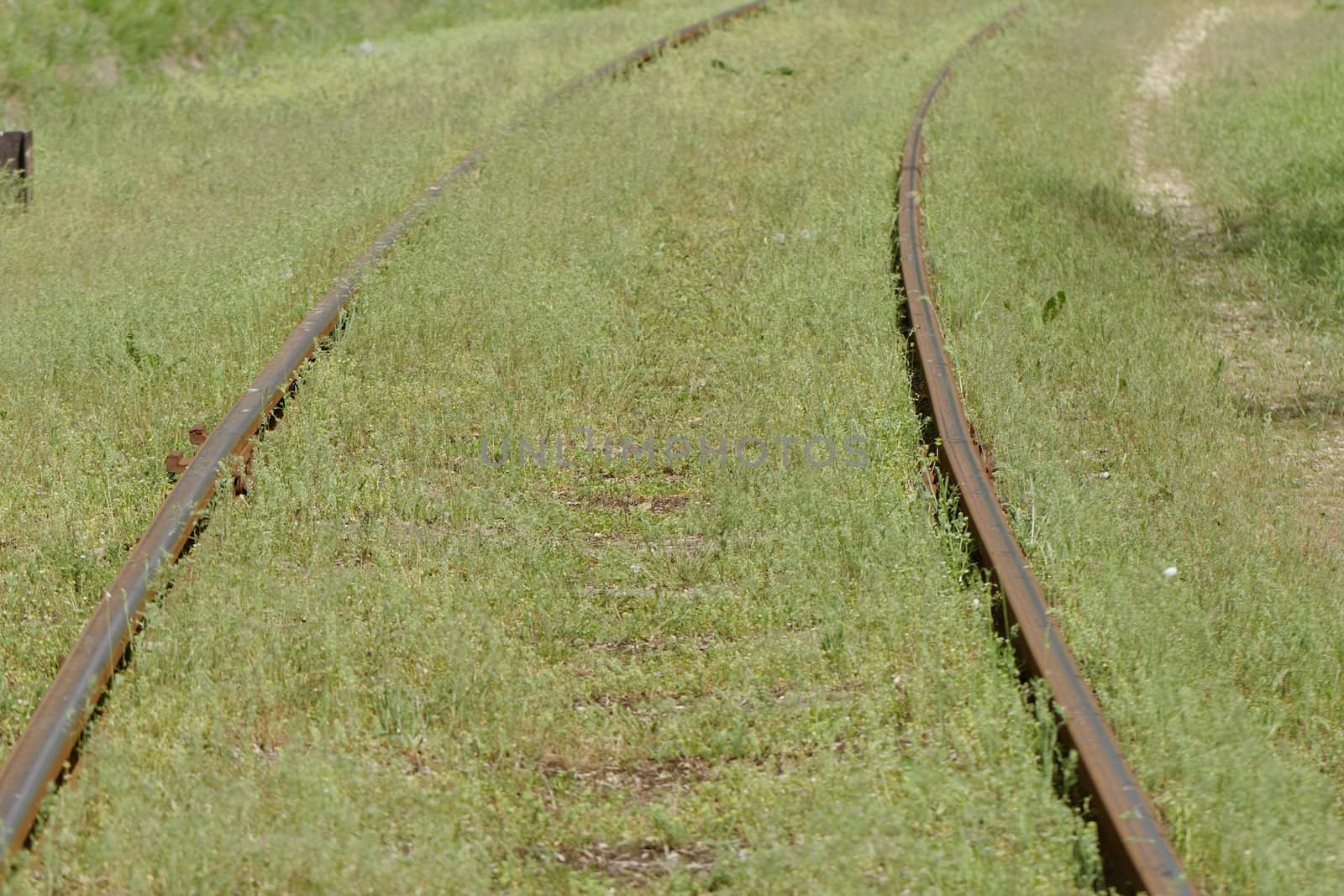 pair of railway track in the green